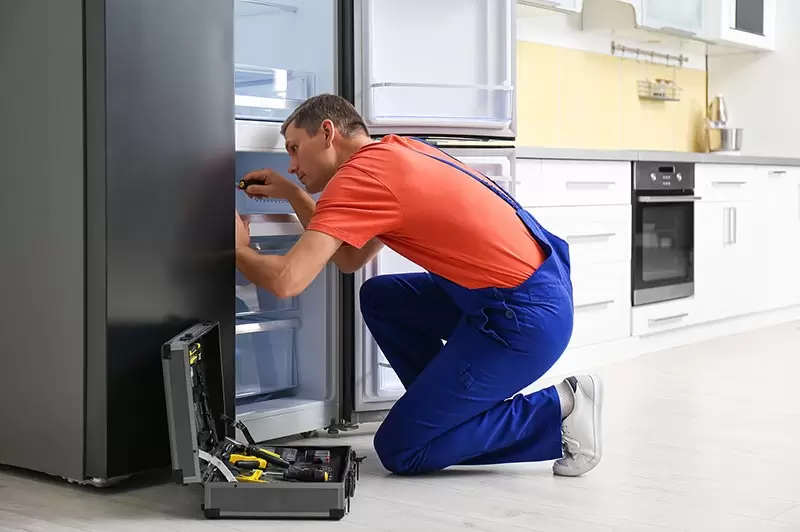 snowa refrigerator repair service.jpg